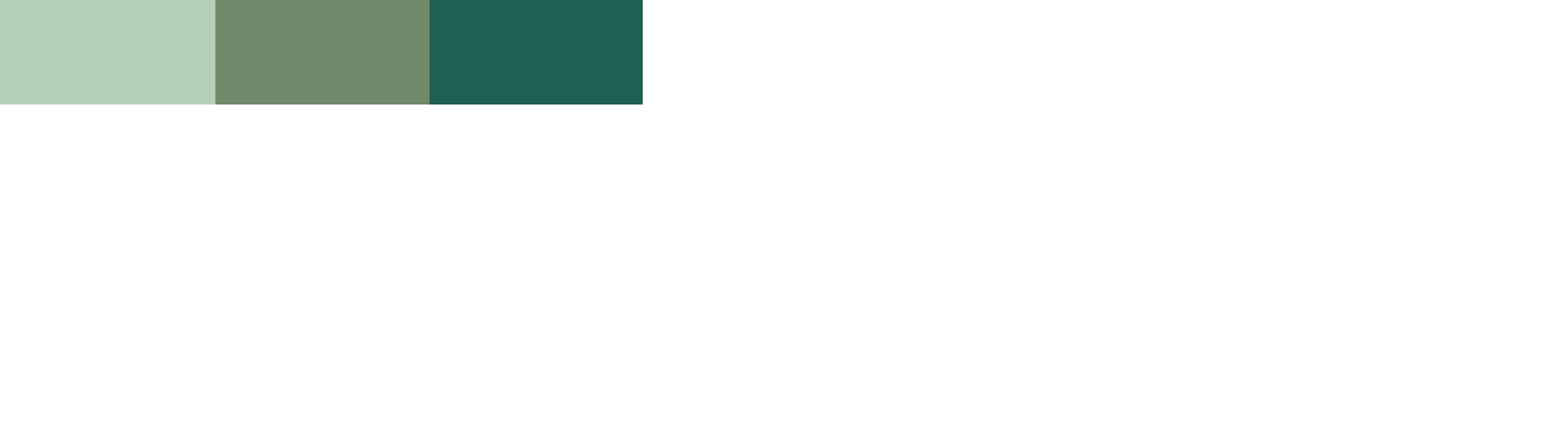 IES certifiering